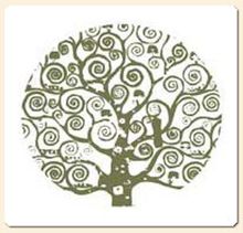 Organic Pinot Grigio