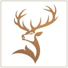 American Oak Single Malt Scotch Whiskey