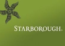 Starlite Sauvignon Blanc