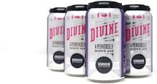 Divine IPA